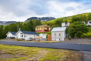 Doğu İzlanda 'da Eskifjordur köyündeki binalar