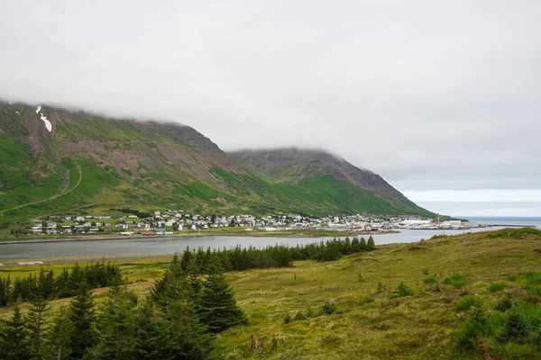 아이슬란드 피오르 마을쪽을 바라봄 — 스톡 사진
