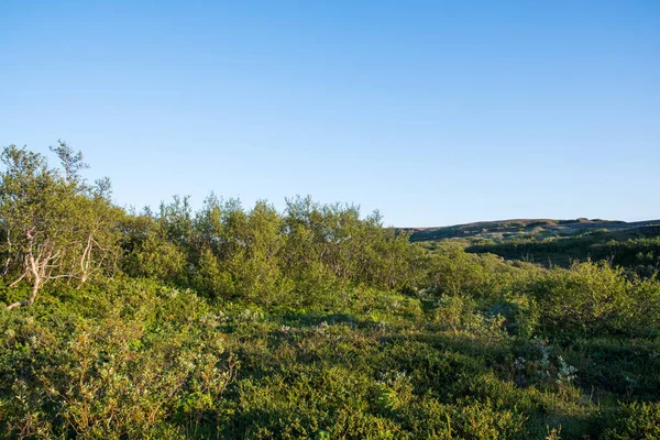 Vesturdalur 'un güzel manzarası Kuzey İzlanda' daki Vatnajokull Ulusal Parkı 'nda Jokulsargljufur' da