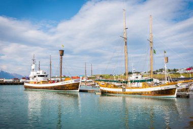 Husavik İzlanda - 15 Temmuz. 2021: Kuzey İzlanda 'daki Husavik limanında safari tekneleri seyreden balina