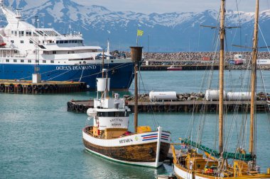 Husavik İzlanda - 15 Temmuz. 2021: Kuzey İzlanda 'daki Husavik limanında safari teknesi seyreden balina