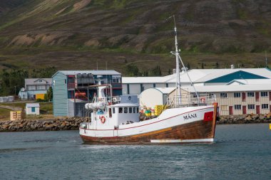 Dalvik, İzlanda - 5 Ağustos. 2021: Yaşlı balina limanda safari teknesini izliyor
