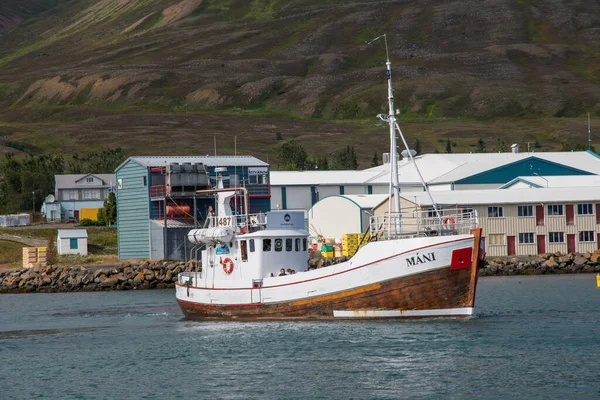 Dalvik, İzlanda - 5 Ağustos. 2021: Yaşlı balina limanda safari teknesini izliyor