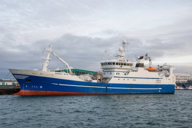 Reykjavik, Iceland - October 22. 2021: Pelagic fishing vessel Svanur in port
