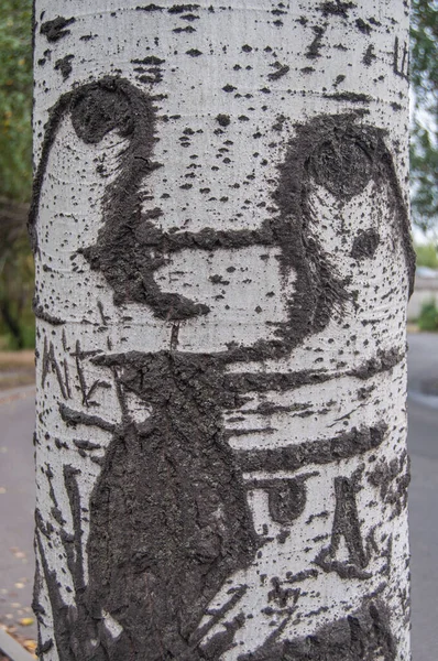 The bark of an urban tree in the form of a human face