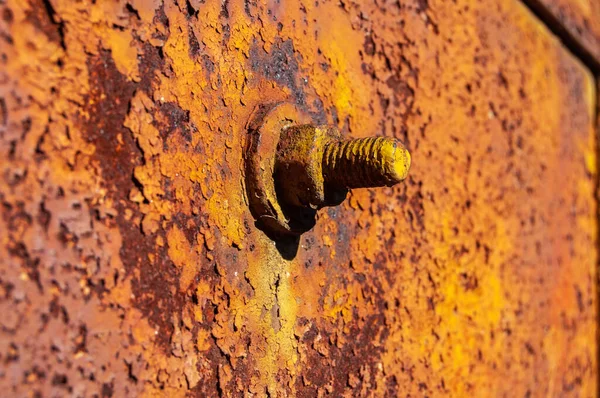 Bolt Nut Gate Old Metal Garage Fotografia Stock