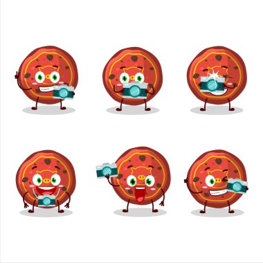 Kırmızı kurabiyeli, domuz çizgi film karakterli fotoğrafçı mesleği simgesi. Vektör illüstrasyonu