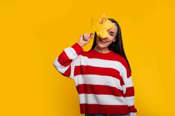Onnellinen Hymyilevä Nuori Kaunis Trendikäs Tyttö Raidallinen Villapaita Keltaiset Lehdet — kuvapankkivalokuva
