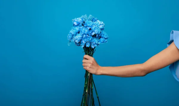 スタジオで青い花の束を持つ女性の手のサイドビュー写真 女性の休日に存在する ストックフォト