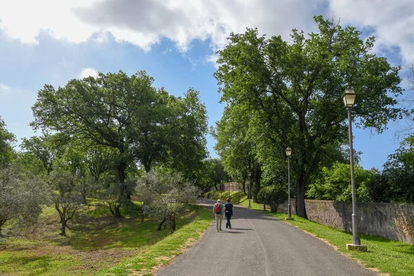Villa Adriana (Tivoli, Italy) - Path in olive trees