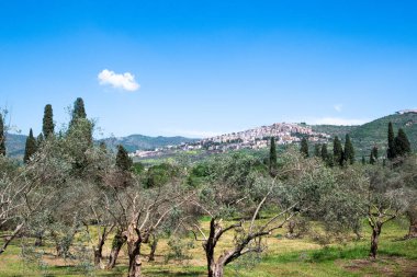 Villa Adriana (Tivoli, İtalya) - Villa Adriana 'dan Tivoli kasabası