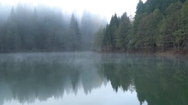 Doğu Karadeniz 'deki Savsat Karagol Gölü' nde sabah buharlaşması. Savsat Karagol gölü, Artvin 'in Savsat ilindeki ormanda yer alan büyük bir alabalık gölüdür.