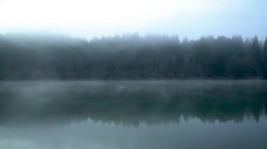 Doğu Karadeniz 'deki Savsat Karagol Gölü' nde sabah buharlaşması. Savsat Karagol gölü, Artvin 'in Savsat ilindeki ormanda yer alan büyük bir alabalık gölüdür.