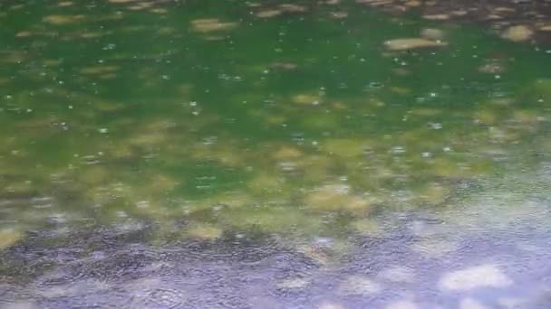 Gocce Pioggia Sull Acqua Scena Pioggia Cospargere Tempo Piovoso Gocce — Video Stock