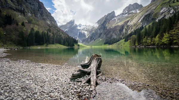 Seealpsee Mit Den Schweizer Alpen Hintergrund Appenzeller Land Schweiz — Stockfoto