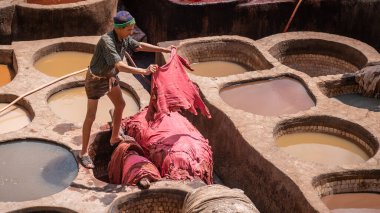Fez, Fas - Nisan 2018: Tanner Chouara Tannery 'de boya kaplarında hayvan derileri boyuyor. Yuvarlak taş kuyuları boyayla ya da derileri yumuşatmak için beyaz sıvılarla dolu..
