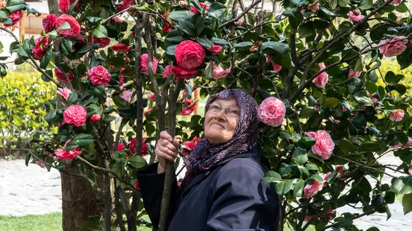 Close Portrait Happy Senior Muslim Woman Tree Camellia Flowers — Fotografia de Stock