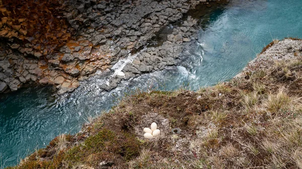 Canyon Basalte Studlagil Islande Est Une Formation Rare Colonnes Basalte — Photo