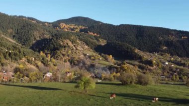 Drone shot of a Karadeniz village with traditional highland houses in Black Sea highlands, Savsat, Artvin, Turkey.