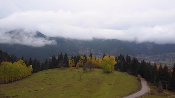 Autumn Landscape Karadeniz Black Sea Region Highlands Beautiful Autumn Day — Vídeo de stock