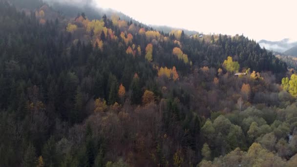 Autumn Landscape Karadeniz Black Sea Region Highlands Beautiful Autumn Day — Vídeos de Stock