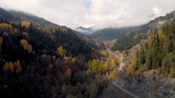 Autumn Landscape Karadeniz Black Sea Region Highlands Beautiful Autumn Day — Stockvideo