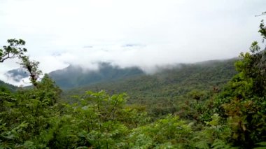 Costa Rica rainforest panorama with many plants and trees in Poas National Park of Costa Rica. Mist raining down on nature.
