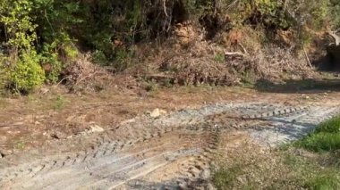 Mugla, Turkey - March 2022: Mini bulldozer clearing forest for new road construction, levelling and moving soil during road building. Dozer clearing small twigs and branches.