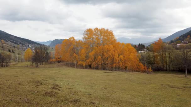 Autumn Landscape Karadeniz Black Sea Region Highlands Beautiful Autumn Day — Stockvideo
