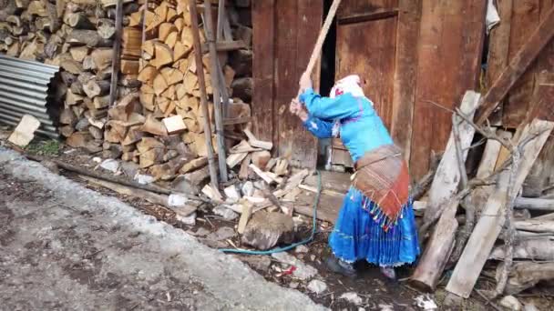 Savsat Artvin Turkey October 2021 Turkish Woman Traditional Dress Cutting — Vídeos de Stock
