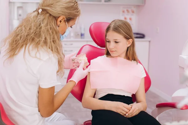 歯医者は歯医者の10代の女の子に歯のモデルを示しています — ストック写真