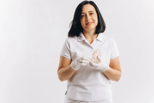 Mujer Doctora Dentista Feliz Mostrando Maqueta Implantes — Foto de Stock