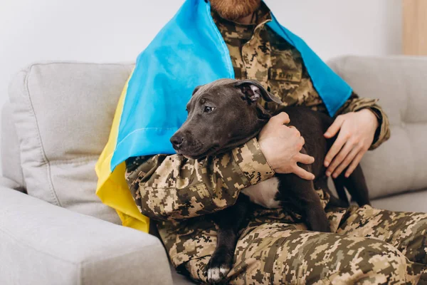 Oekraïense Soldaat Gewikkeld Oekraïense Vlag Houdt Amstaff Hond Armen Het — Stockfoto