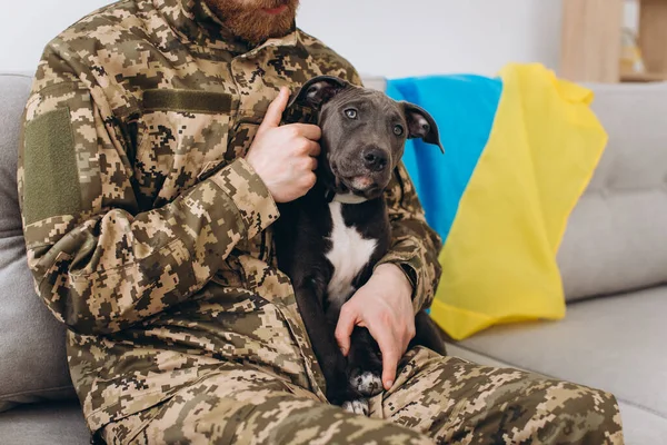 Український Солдат Військовій Формі Сидить Дивані Своїм Вірним Другом Собакою — стокове фото
