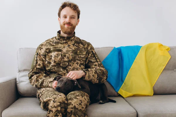 A Ukrainian soldier in military uniform is sitting on a sofa with his faithful friend, an Amstaff dog, on the background yellow and blue flag.