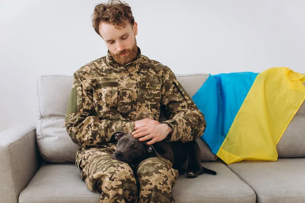 Soldado Ucraniano Uniforme Militar Está Sentado Sofá Con Fiel Amigo —  Fotos de Stock