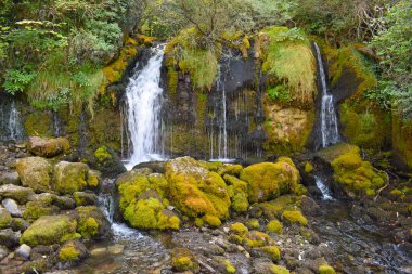 Els Empedrats Şelalesi Baga Barselona Kataloğu İspanya