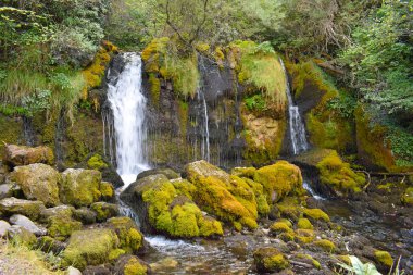 Els Empedrats Şelalesi Baga Barselona Kataloğu İspanya