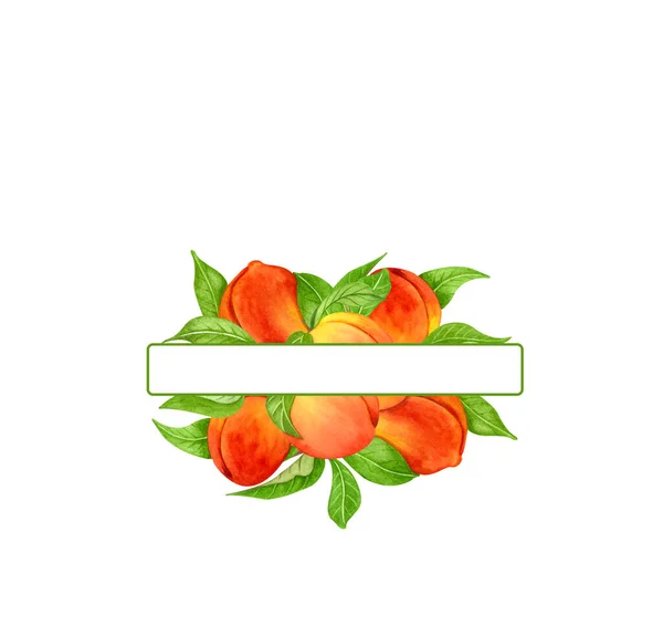 Στεφάνι ακουαρέλας με ροδάκινα, φύλλα. Χειροποίητο πλαίσιο με φρούτα και λουλούδια από ξύλο οξιάς — Φωτογραφία Αρχείου