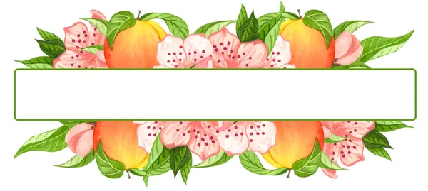 Watercolor wreath with peaches, leaves. Hand drawn frame with pech fruit and flowers — Stock Photo, Image