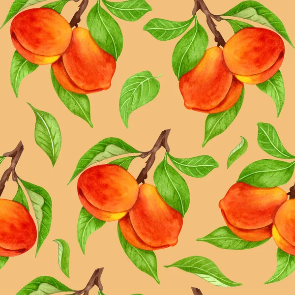 Seamless peach pattern with fruits, leaves, flowers background. Watercolor peach tree seamless background. — Stock Photo, Image