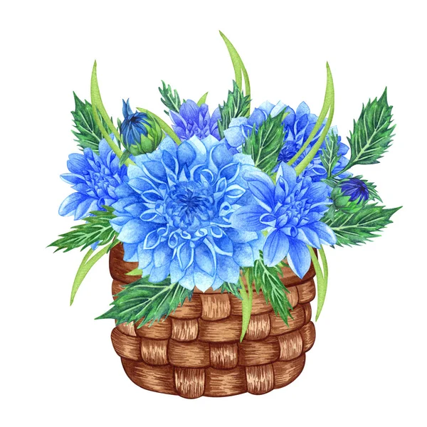 Bukiet z niebieskich kwiatów dahlii. Bukiet kwiatowy w koszyku. akwarela ilustracja — Zdjęcie stockowe
