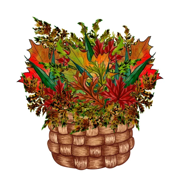 Bouquet da foglie secche colorate. Composizione con foglie d'autunno acero, ok in un cesto — Foto Stock