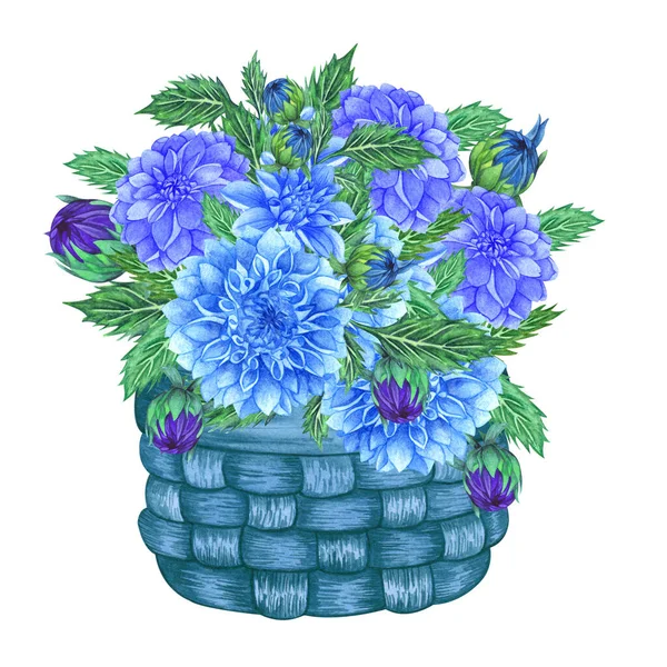 Bouquet from blue dahlia flowers. Floral bouquet in basket. watercolor illustration — Stock Photo, Image