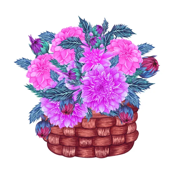 Bouquet from pink and red dahlia flowers. Floral bouquet in basket. watercolor illustration — Stock Photo, Image
