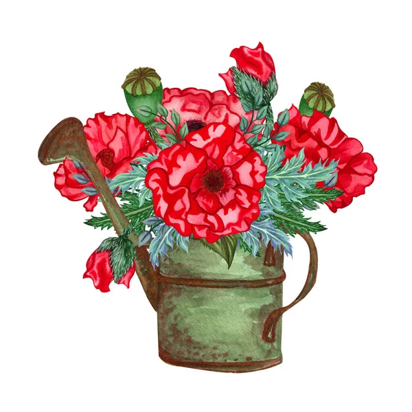 Composition with Poppy flowers and green leaves in a watering can watercolor composition. Colorful summer illustration. Bouquet from red poppies. — Stock Photo, Image
