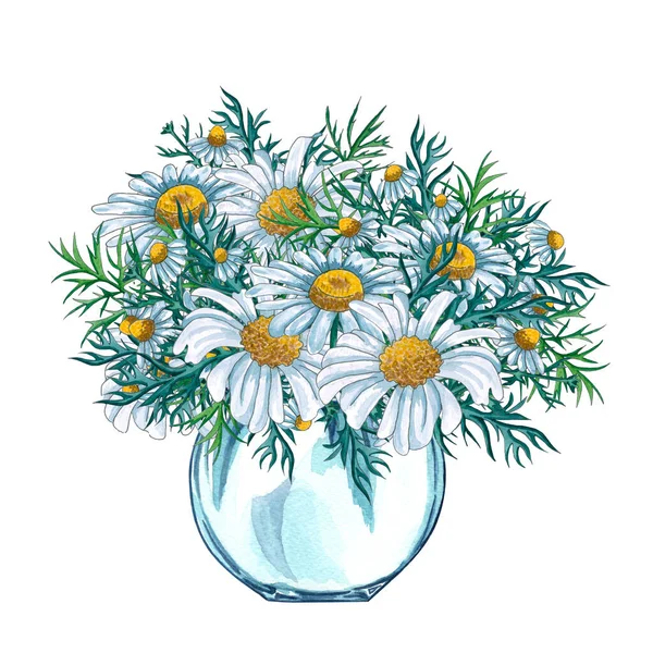 Vaso de vidro aquarela com buquê de flores de camomila dentro, desenhado à mão isolado em um fundo branco — Fotografia de Stock