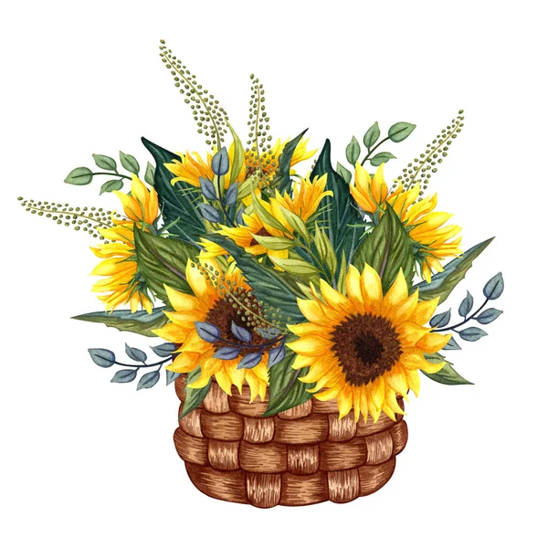 Composizione con Girasoli e foglie verdi in un cesto acquerello. Illustrazione estiva colorata. Bouquet di girasole giallo. — Foto Stock