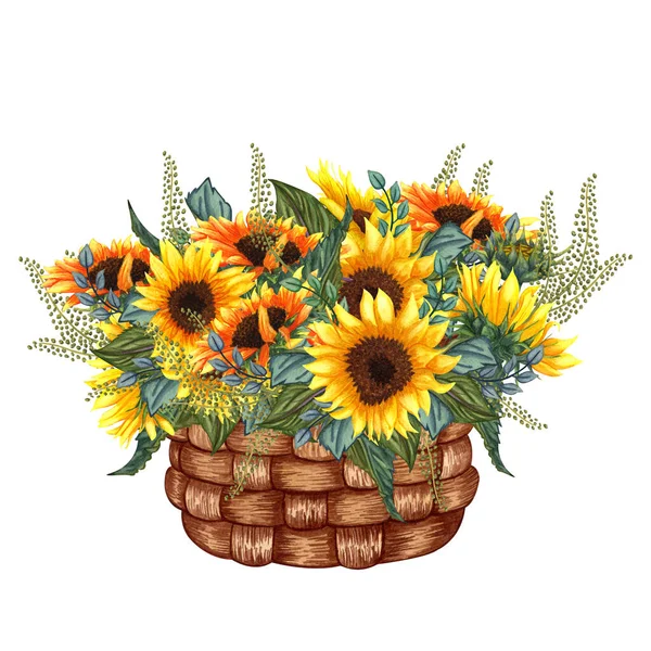 Composizione con Girasoli e foglie verdi in un cesto acquerello. Illustrazione estiva colorata. Bouquet di girasole giallo. — Foto Stock