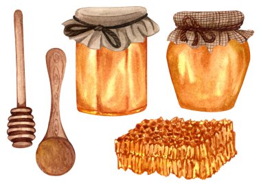 Watercolor fresh honey set with honeycombs, honey dipper, glass jar with honey. Hand drawn organic natural illustration.